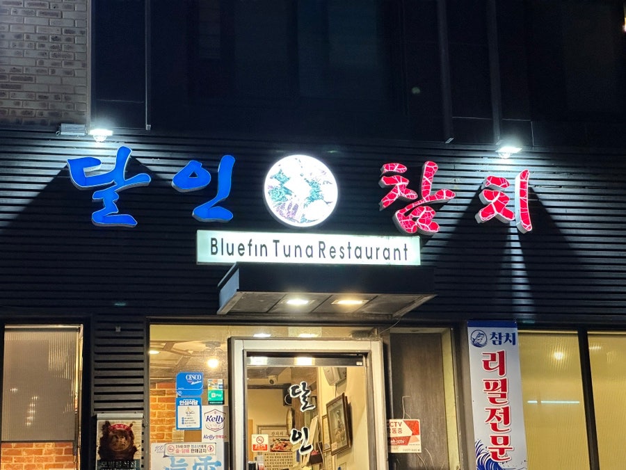 진참치 사진 5