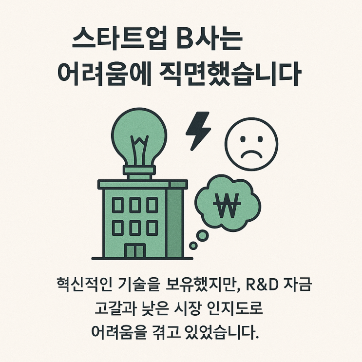  "정책자금 5억 확보와 매출 30% 성장을 동시에! (스타트업 B사)"