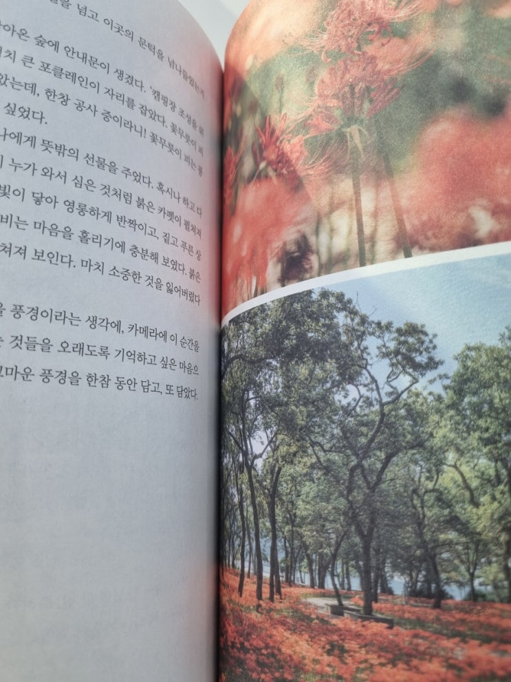  생각이 많은 날에는 남해에 갑니다-이산들 지음