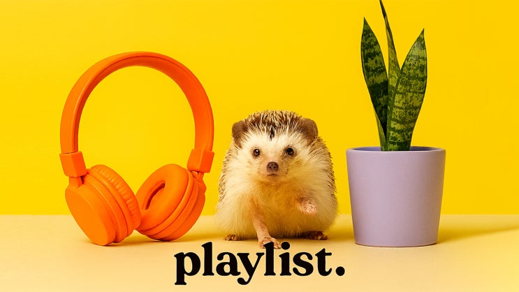  playlist  월요일 가시로 다 찔러 | ️ 아침이 상쾌해지는 Feel Good Pop | anti-monday chill pop 출근길 노동요 플리 월요병 극복 매장음