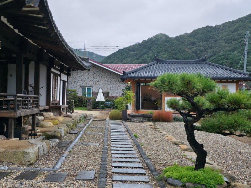금레당