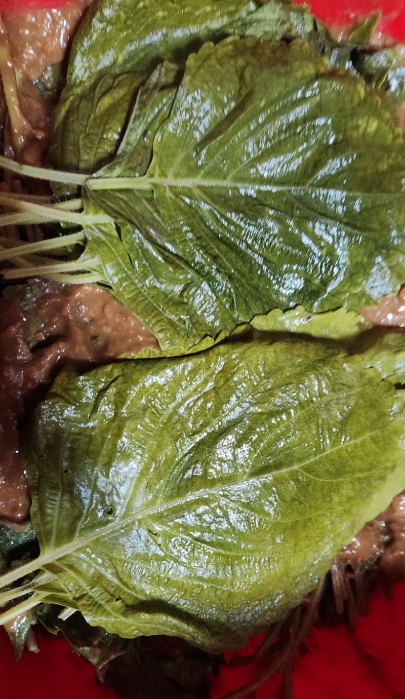 깻잎된장장아찌만드는법 ! 삭힌깻잎짱아찌만들기 ! 간편깻잎삭히는법 !