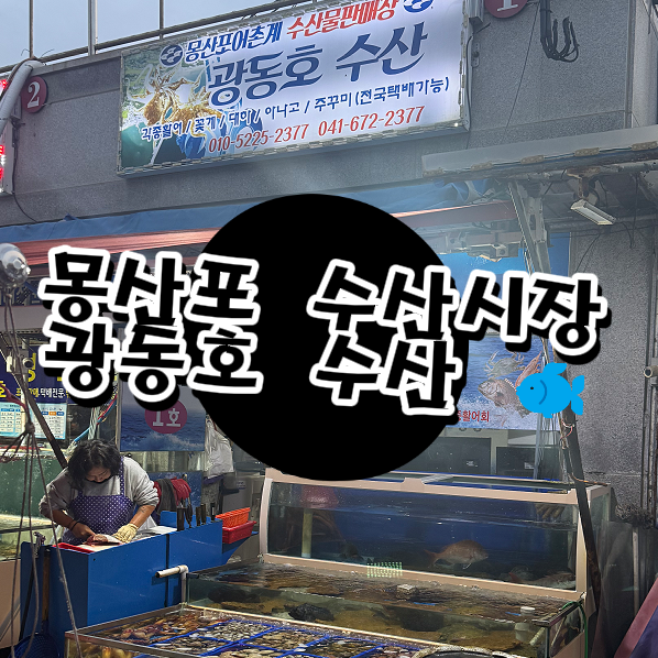  태안 몽산포 수산시장 탐방기｜현지인 추천, 광동호 수산 회 & 해산물 포장 후기