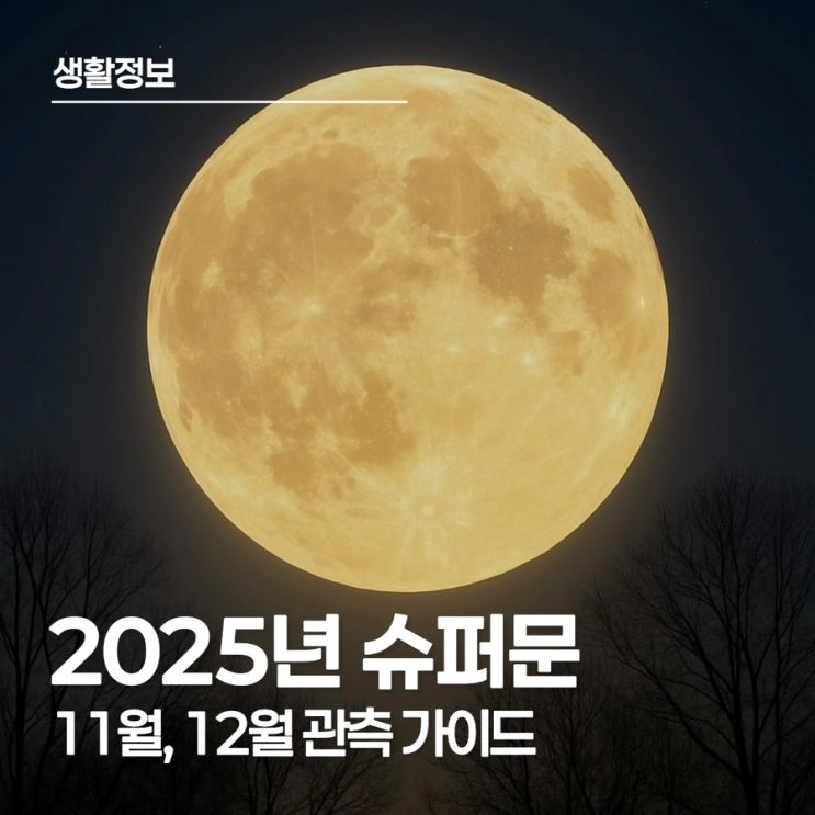 2025년 슈퍼문, 11월, 12월 보름달 관측 가이드