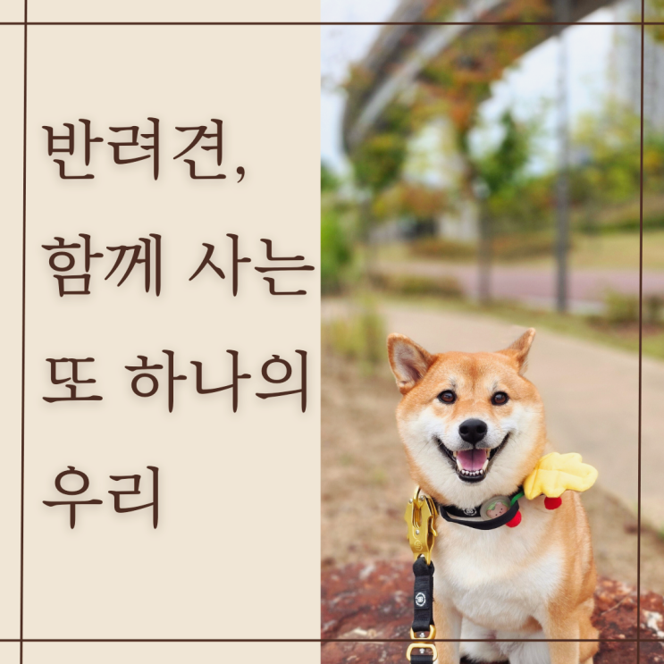  반려견과 함께 살아가기 | 한국 반려문화의 전환