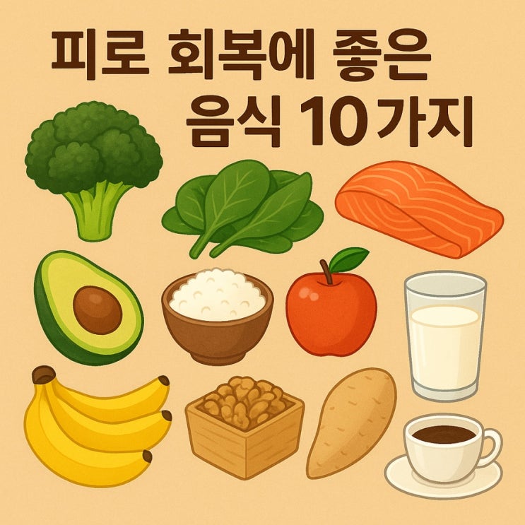  피로 회복에 좋은 음식 10가지  지친 몸과 마음을 되살리는 에너지 푸드!