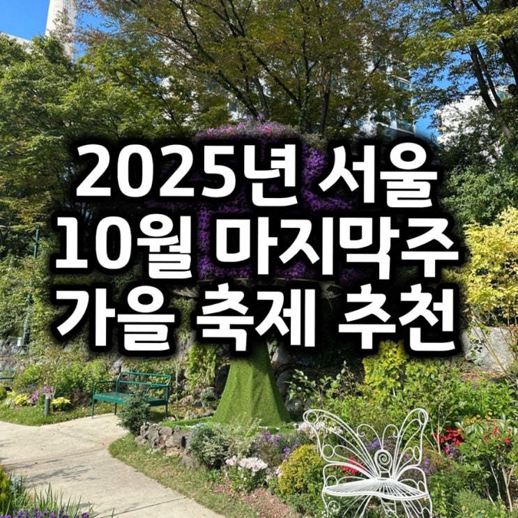  2025년 서울 10월 마지막주 가볼만한 가을 축제!