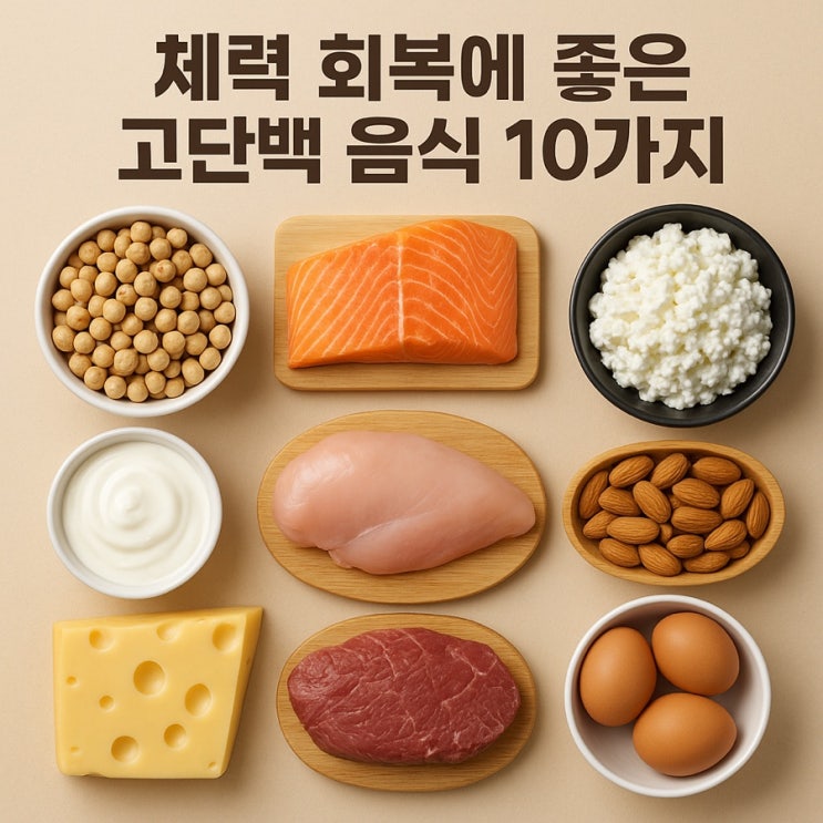  체력 회복에 좋은 고단백 음식 10가지  피로한 몸에 활력을 채우는 단백질 식단!