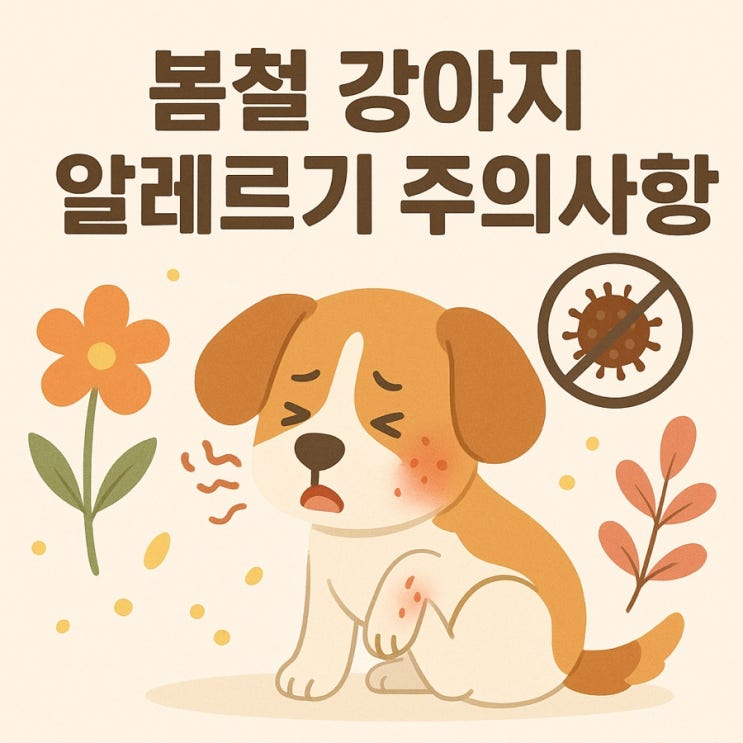  봄철 강아지 알레르기 주의사항  증상부터 예방법까지 총정리!