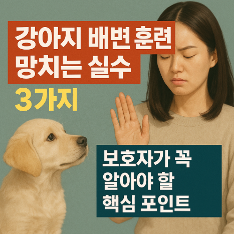  강아지 배변 훈련 망치는 실수 3가지, 보호자가 꼭 알아야 할 핵심 포인트