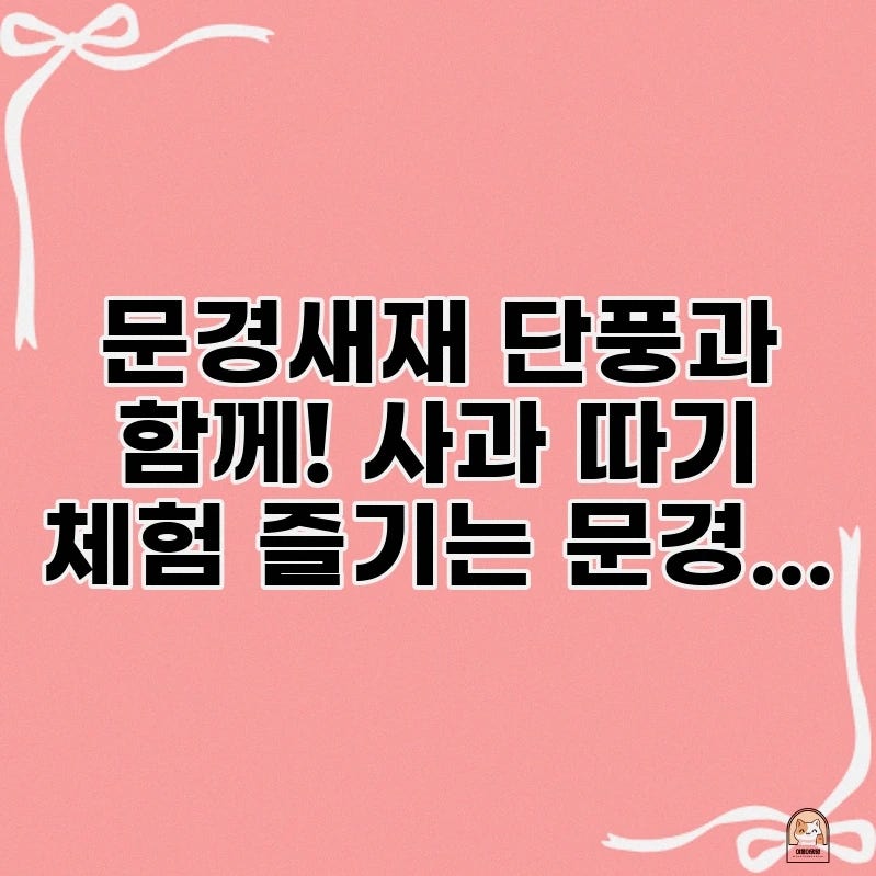 문경새재 단풍과 함께! 사과 따기 체험 즐기는 문경 사과축제