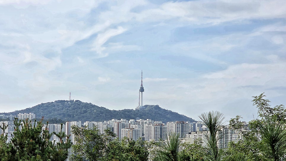 삼백집 금호점 사진 6