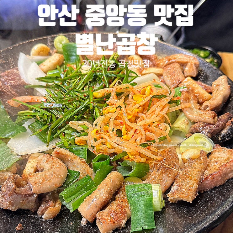  안산 중앙동 맛집 별난곱창 현지인 추천 한우곱창 맛집 내돈내산
