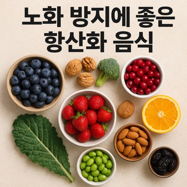  노화 방지에 좋은 항산화 음식  젊음을 지켜주는 슈퍼푸드 TOP 7