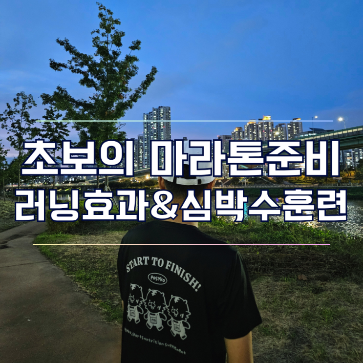  러닝 초보의 하프마라톤 준비 10km 이상 달리기 효과와 운동 심박수 변화