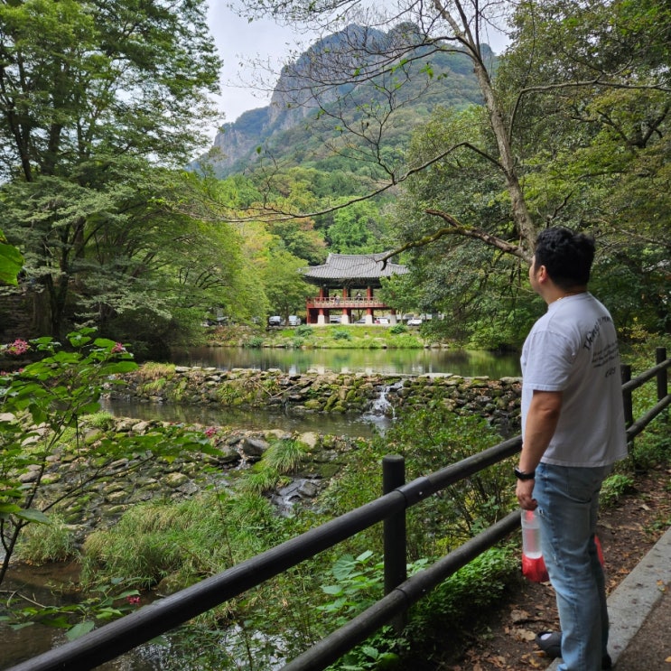  장성 단풍이 멋진 백양사 스탬프투어