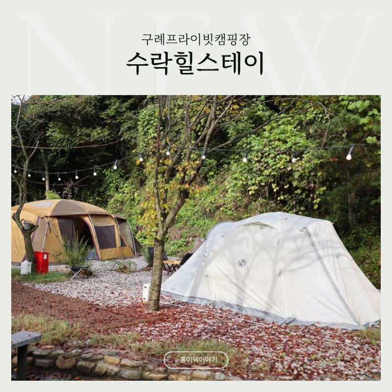 사진 2