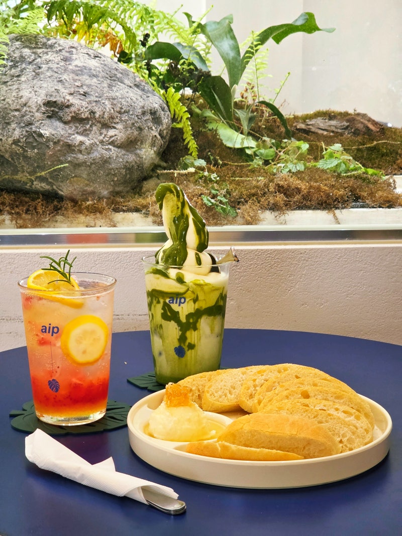 부천식물카페 대형베이커리 테라스 감성 카페, 에이프 : 네이버 블로그