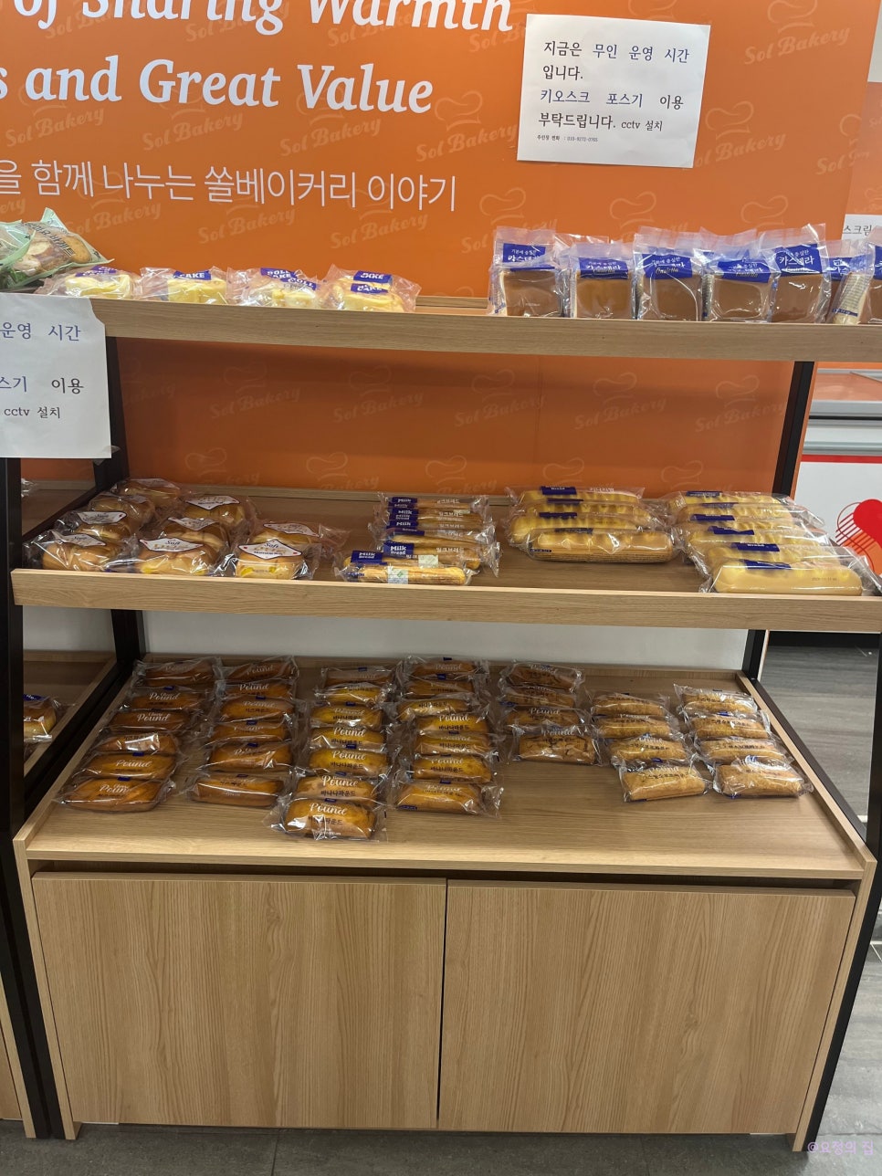 오늘 오란다 사진 5