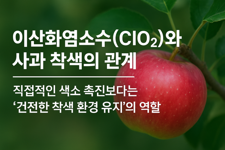   이산화염소수(ClO₂)와 사과 착색의 관계— 직접적인 색소 촉진보다는 ‘건전한 착색 환경 유지’의 역할
