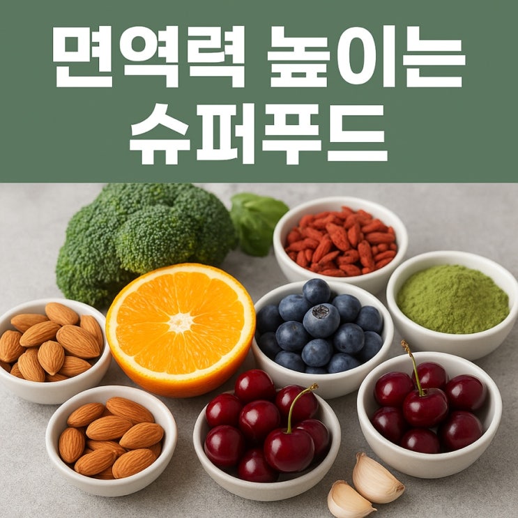  면역력 높이는 슈퍼푸드  환절기 건강을 지키는 필수 식품 TOP 7
