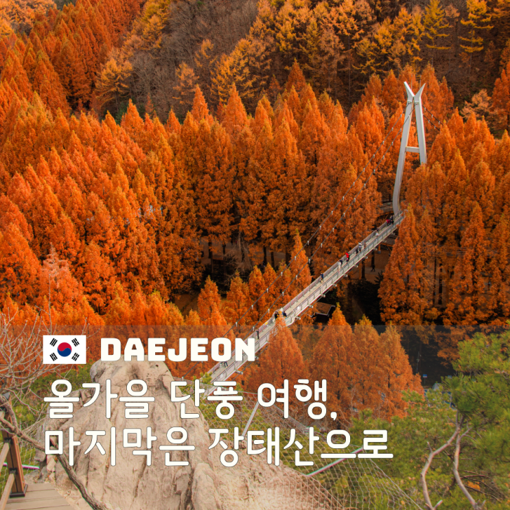  대전 장태산 자연휴양림 단풍길 산책코스 전망대에서 본 가을 전경