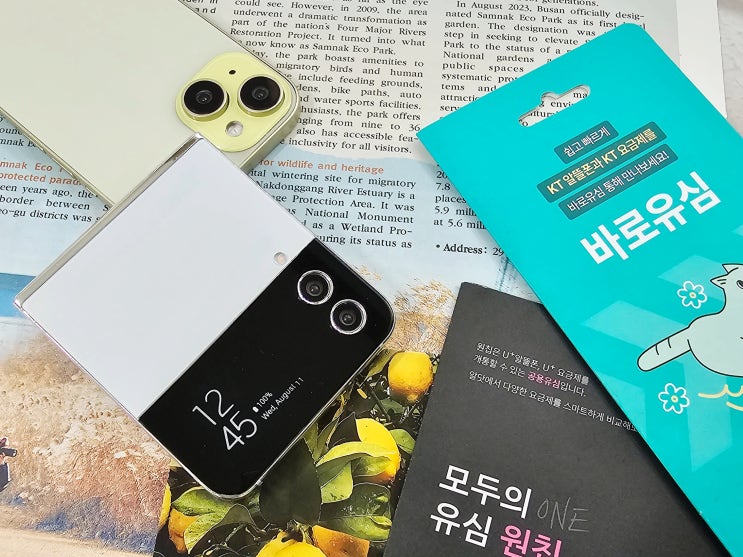  KT LG 휴대폰 유심 구매 및 셀프개통 과정