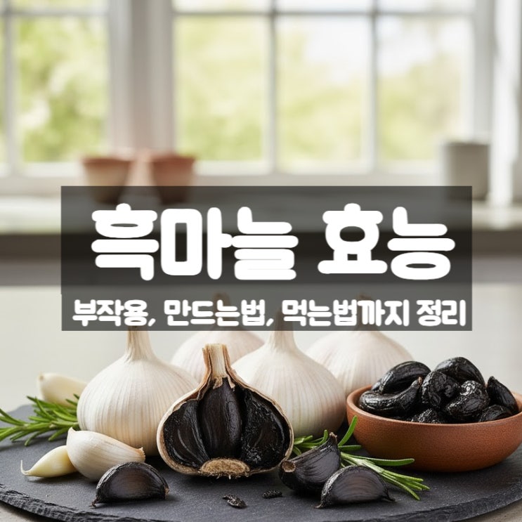  흑마늘 효능 부작용 만드는법 먹는법 – 생마늘보다 좋은 이유