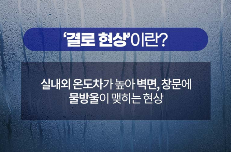  경남 창원 독일 시스템 창호 레하우의 겨울철 곰팡이 주범, 결로 막는 법