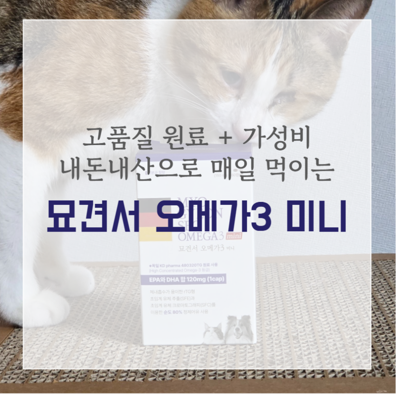 묘견서 오메가3 미니 (고양이·강아지 오메가3 추천) | 쫑이가 매일 먹는 영양제 내돈내산 솔....