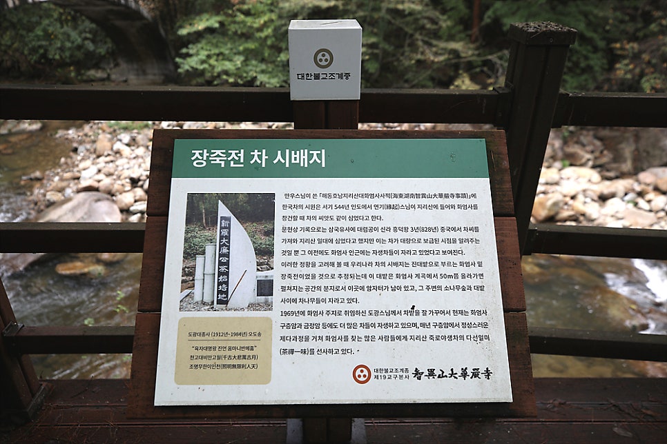 다담 사진 5