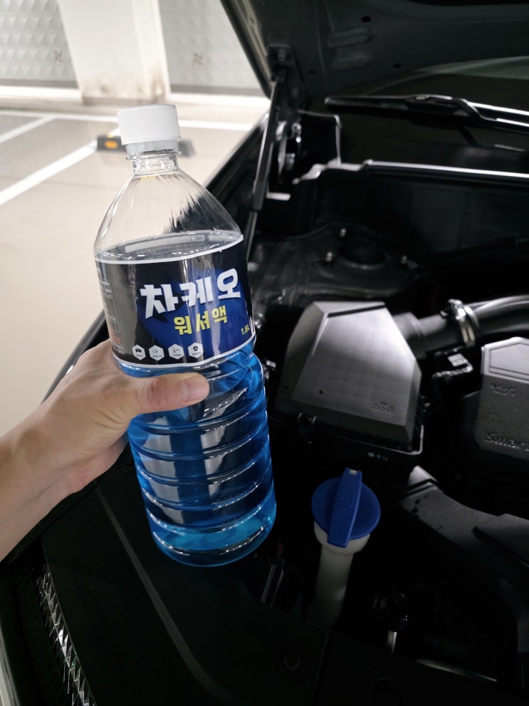  [차케오워셔액] 후기 | 우리가족 안전 운전을 위한 에탄올워셔액, 현명하게 고르는 법