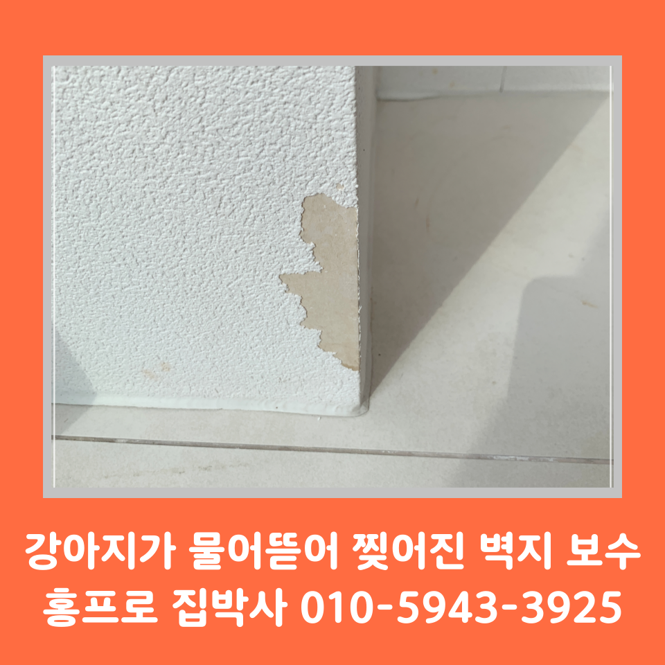 찢어진벽지보수 실크벽지 부분보수 방법 (수원)
