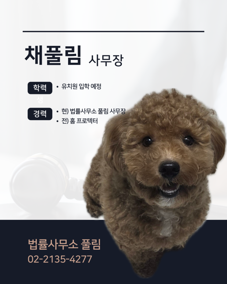  사무장 돌 기념 프로필 제작