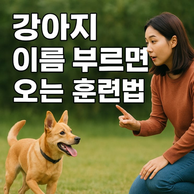  강아지 이름 부르면 오는 훈련법  완벽 복종 훈련으로 신뢰 쌓기!
