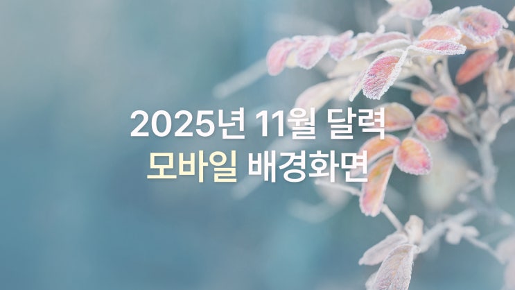  2025년 11월 달력 아이폰 17 프로맥스 고화질 차분한 심플 가을 겨울 배경화면 9종