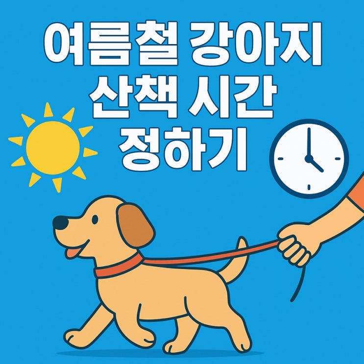  여름철 강아지 산책 시간 정하기 ️ 더위·열사병 예방 완벽 가이드!