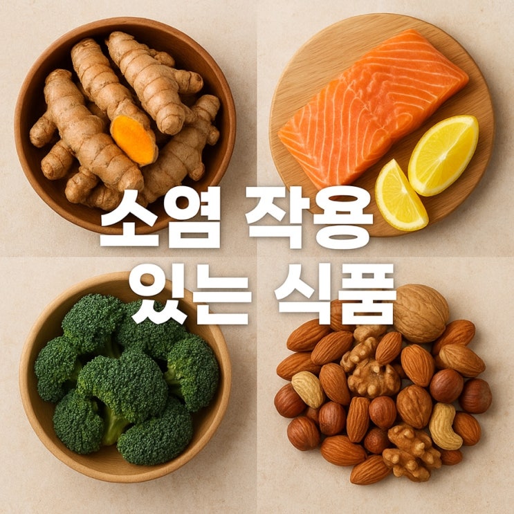  소염 작용 있는 식품  염증 완화와 건강 지키는 TOP 7