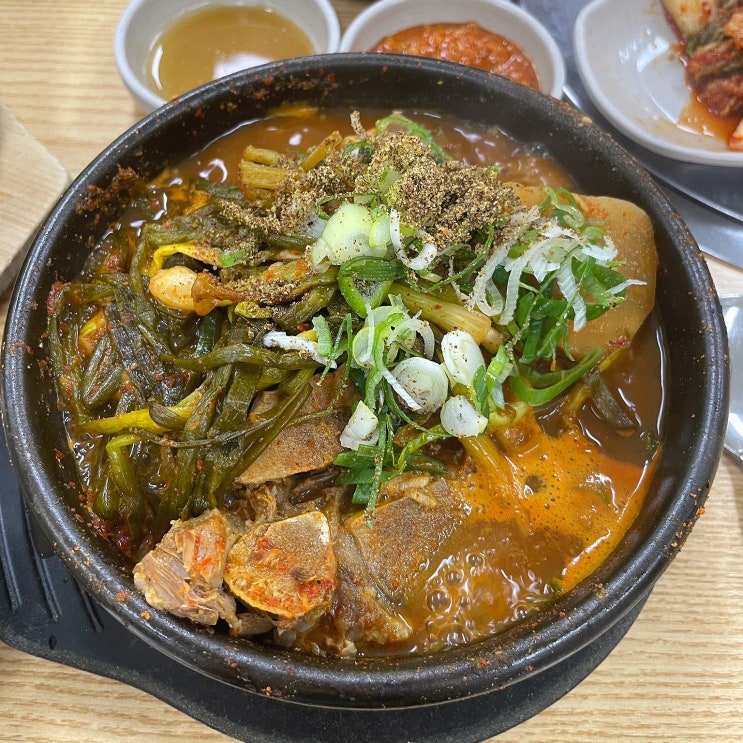  광주 우산동 어등뼈해장국보쌈 재방문 파총각해장국 뼈해장국 솔직후기