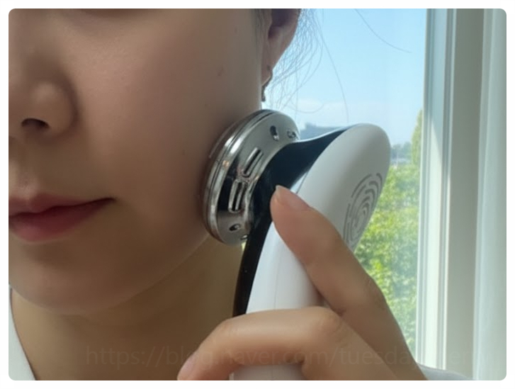  리버스 갈바닉 AT-B300 가성비 홈케어 디바이스 장단점 후기총정리