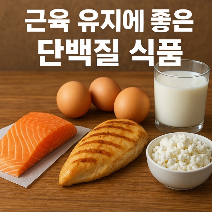  근육 유지에 좋은 단백질 식품  근력과 체력 지키는 TOP 7