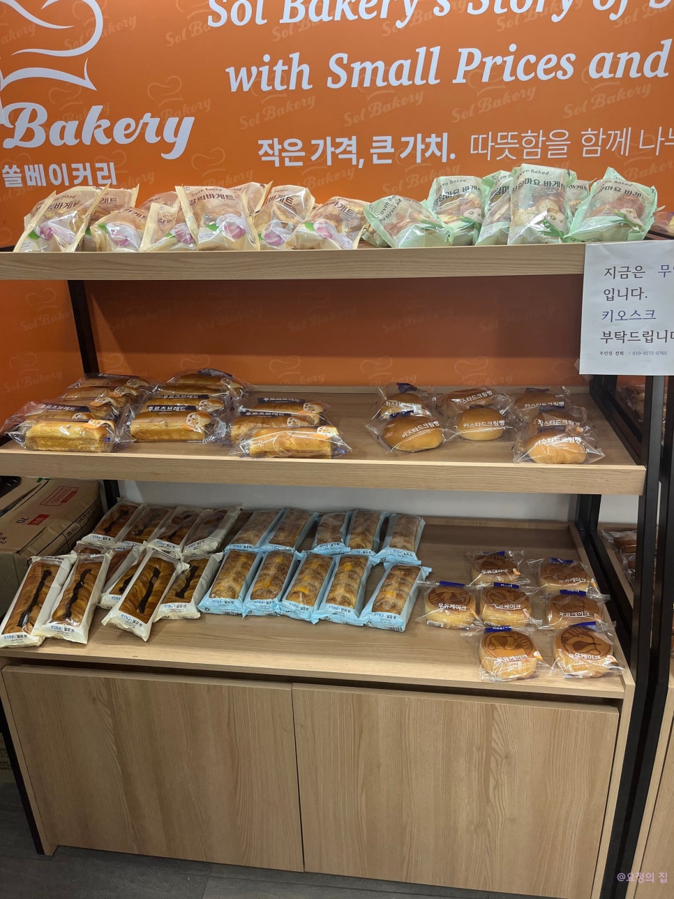 오늘 오란다 사진 6