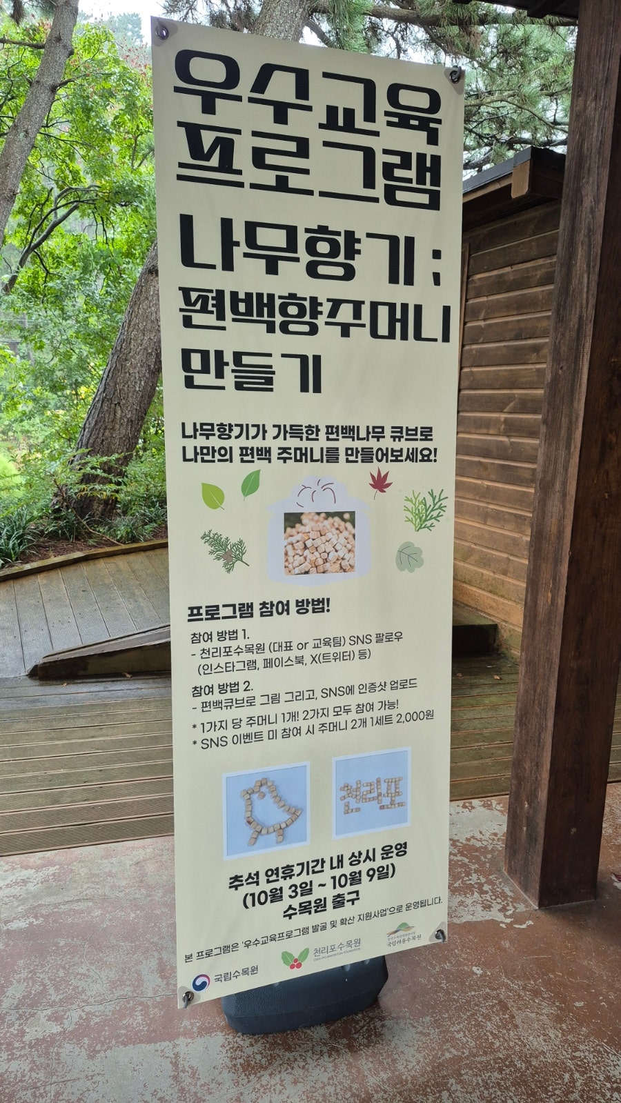 안녕나무야 사진 4