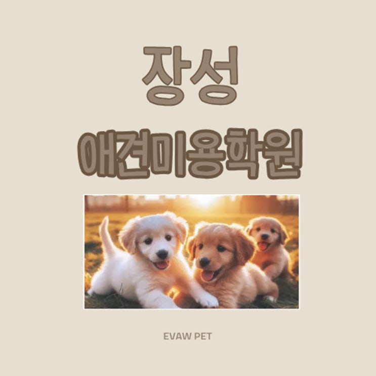  장성애견미용학원 실무 중심의 커리큘럼으로 미래를 준비하다