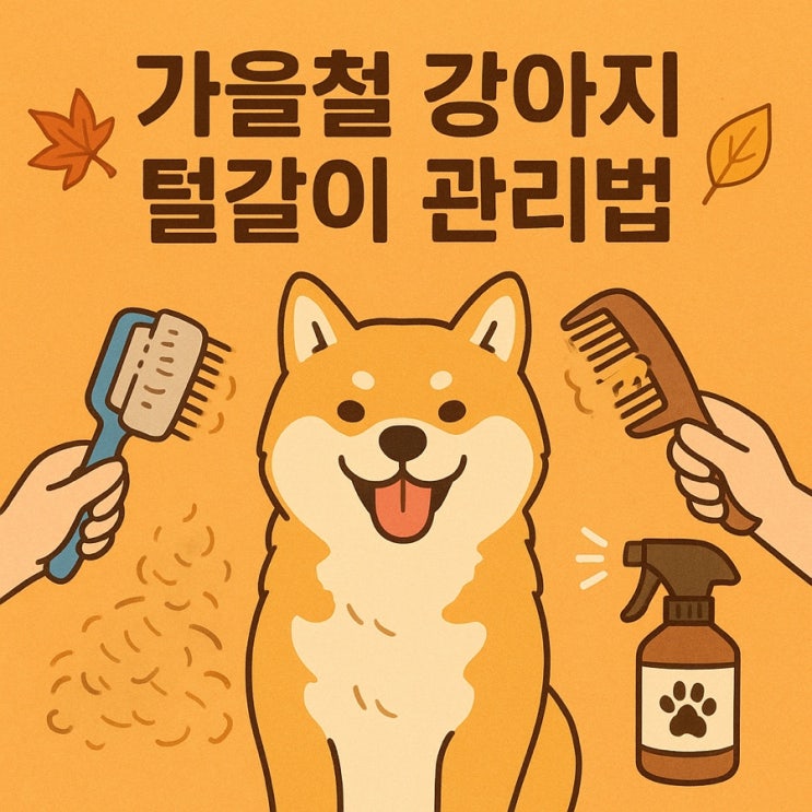  가을철 강아지 털갈이 관리법  털 빠짐 줄이는 꿀팁 총정리!