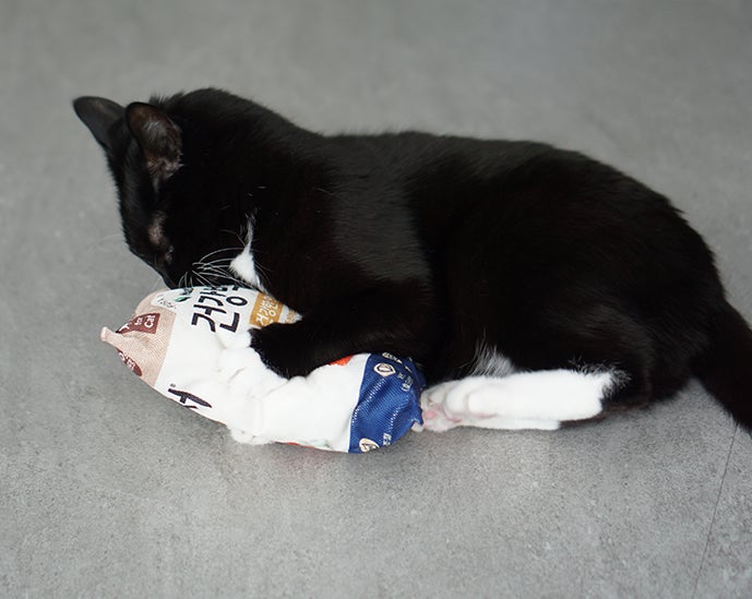 고양이 캣닢 효과 좋아하는 이유 캣잎 부작용 증상