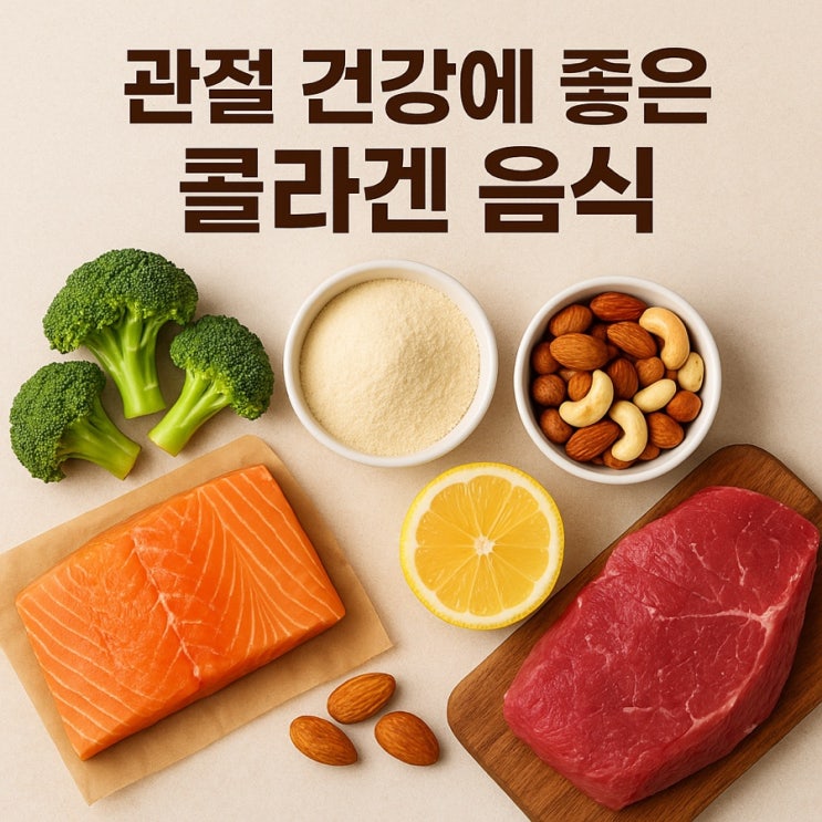  관절 건강에 좋은 콜라겐 음식  연골 강화와 통증 완화 TOP 7