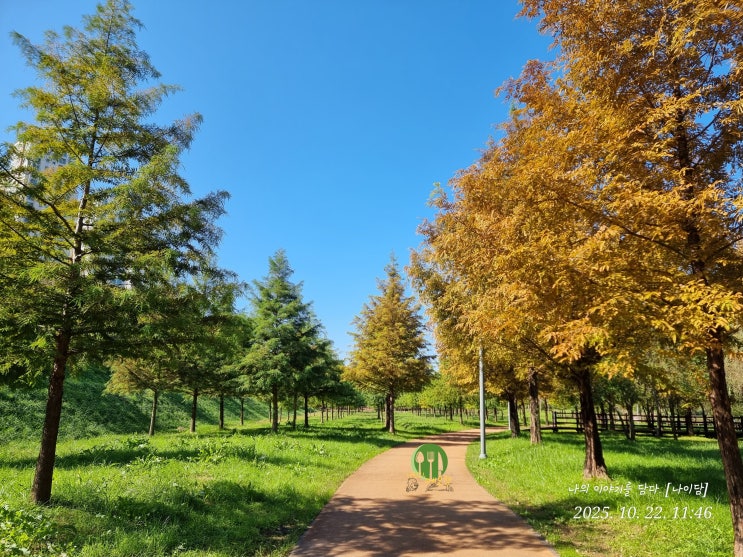  경기도 파주시 와동동  운정 호수 공원 산책
