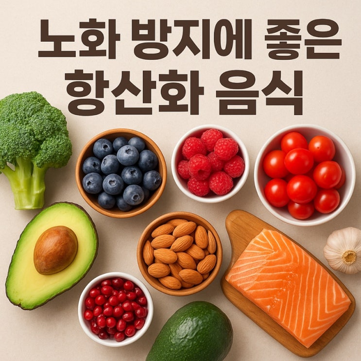   노화 방지에 좋은 항산화 음식 — 젊음을 지켜주는 슈퍼푸드 리스트 