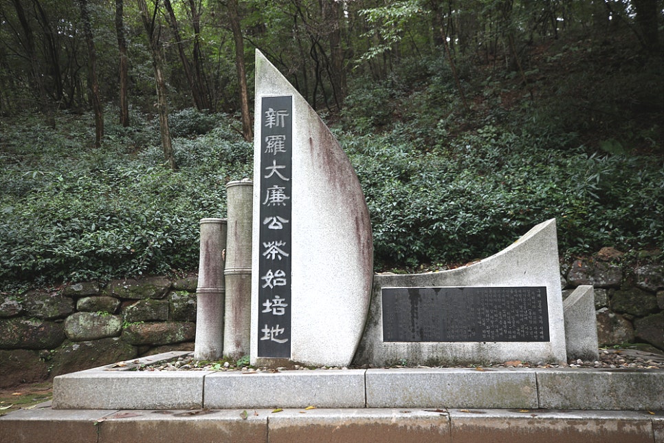 다담 사진 3